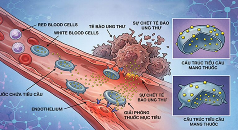 Tia bức xạ chiếu vào phá vỡ DNA của tế bào Ung Thư