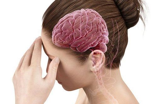 Giải pháp khoa học cho các vùng cần bảo vệ chuyên sâu trong não